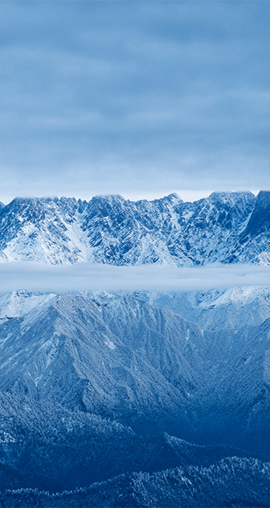 关于中华精英联盟